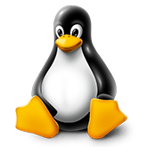 Fully-managed Linux Shared Website Hosting