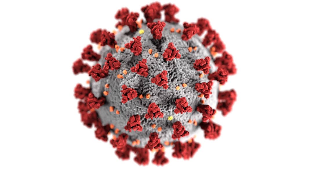 How We’re Dealing with the Coronavirus